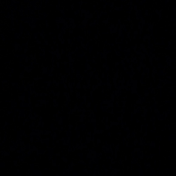 Meet your Posher, Tyiesha - Picture 1 of 1